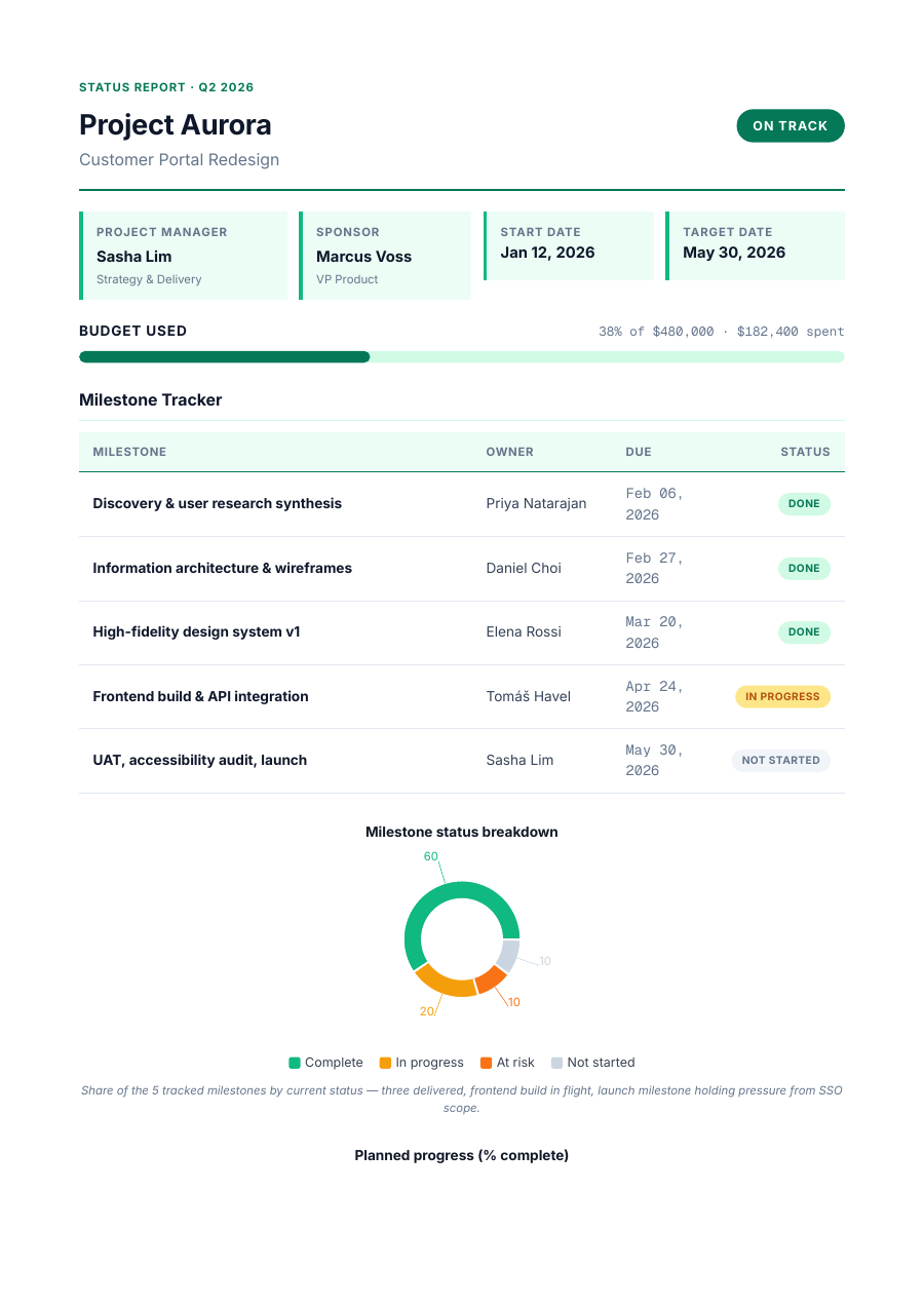 Project Status template — page 1
